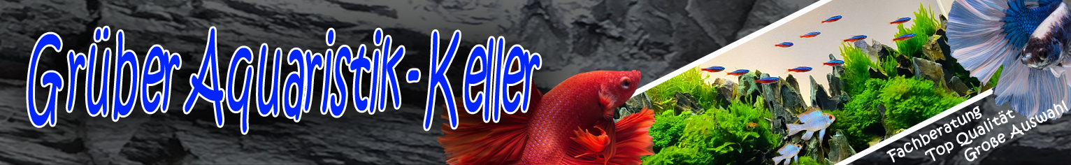 Header_1
